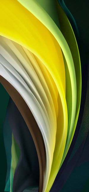 Wallpaper